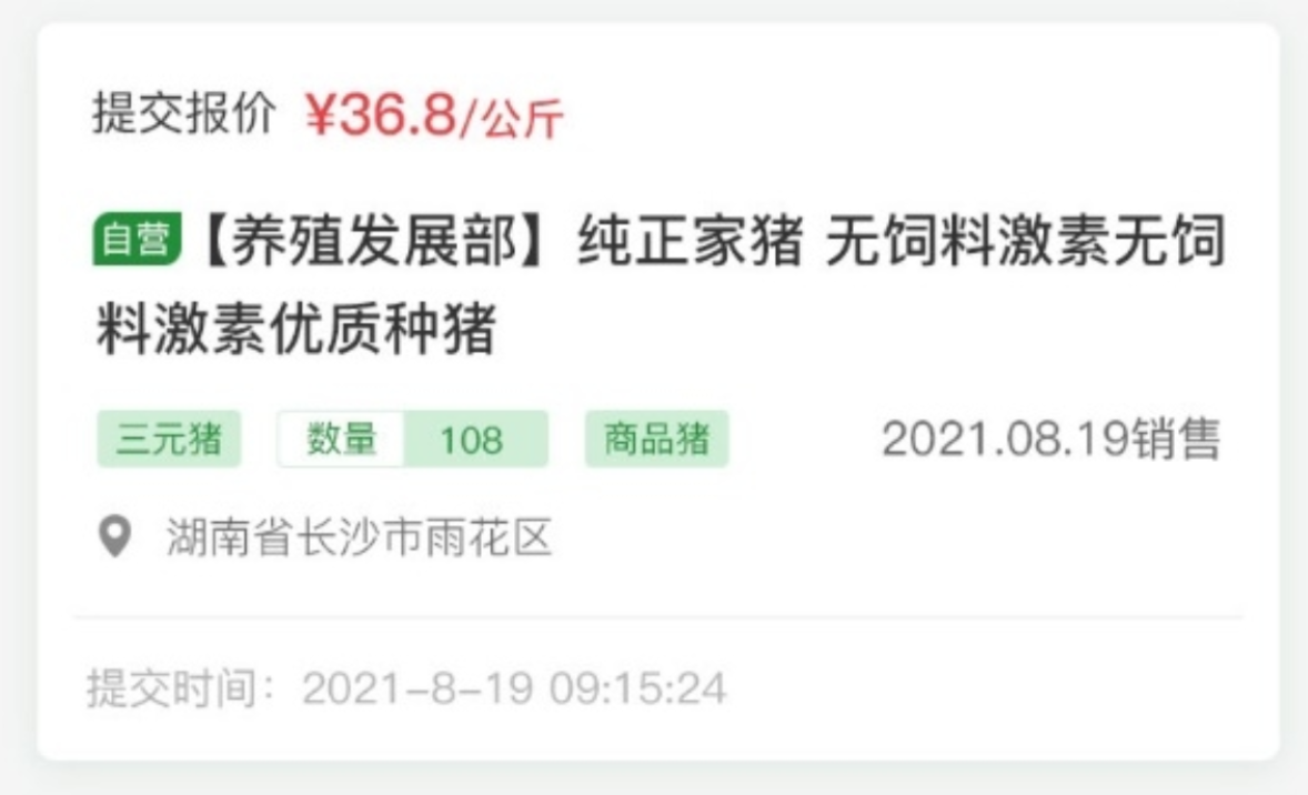 云邁科技生豬競(jìng)價(jià)系統(tǒng)：開(kāi)啟生豬交易新時(shí)代?